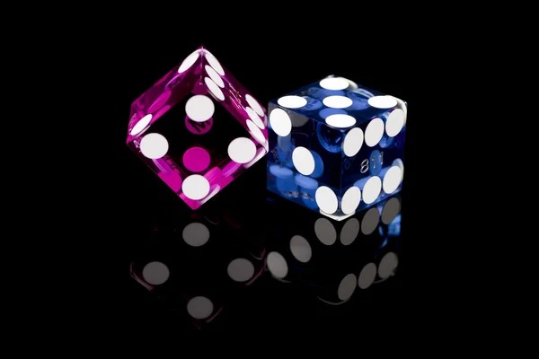 bandarbola885 Bingo